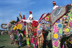 Festival de l’éléphant