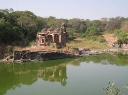 Circuit de Rajasthan et Tigre