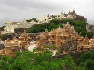 Voyage au Gujarat en Inde