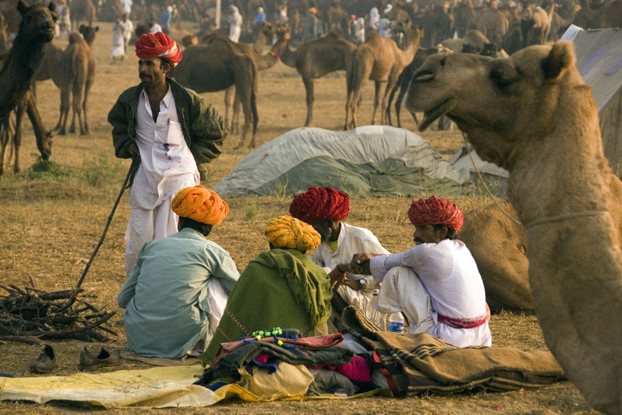 voyage au Rajasthan