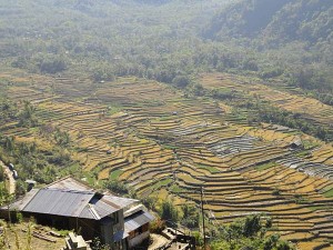 village nagalandvillage nagaland