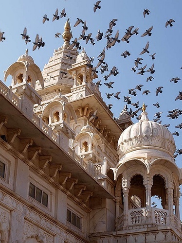 Vacances au rajasthan Inde