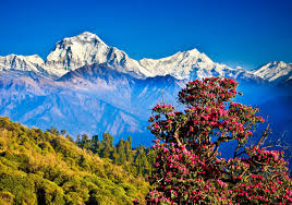 voyage au Nepal