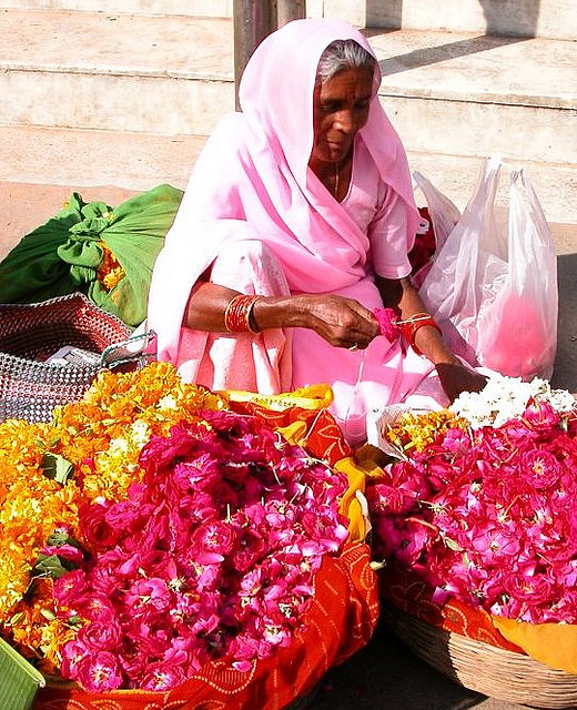 Séjour en Inde_jodhpur voyage