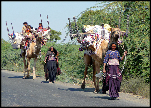 Voyage Gujarat, séjour et circuit Gujarat