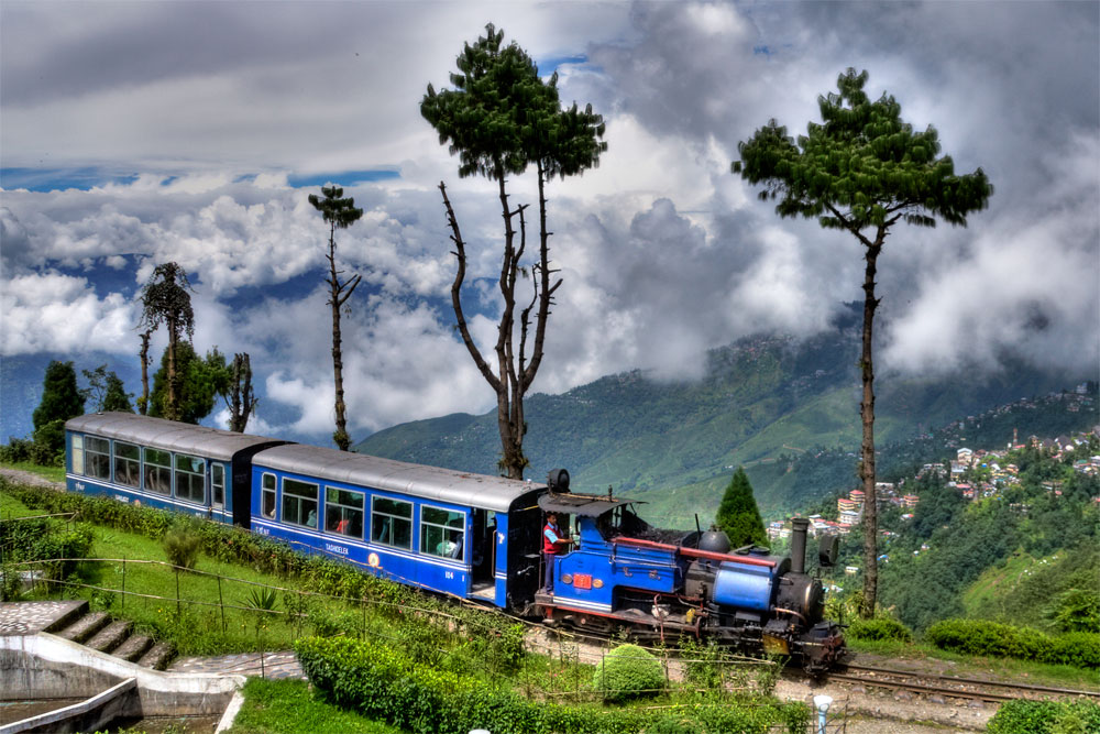 Darjeeling voyage inde