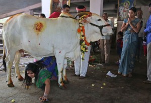 une-fidele-hindoue-durant-le-gopashtami-fete