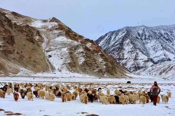 Voyage au Ladakh_jodhpurvoyage.com