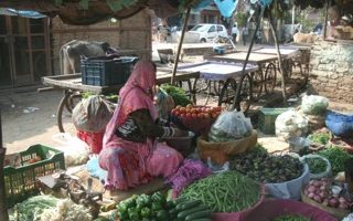 Séjour au Rajathan et Agra M et Mme Sauvage x 2