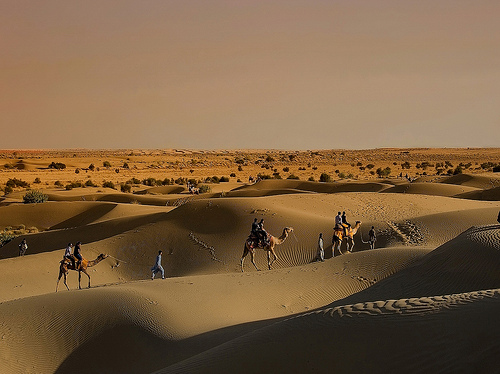 Séjour au Rajasthan