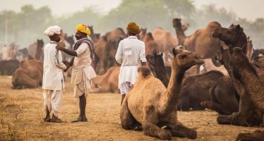 Voyage au Rajasthan Hors des sentiers battus