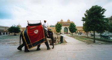 Voyage au Rajasthan – Lorraine et François Grison