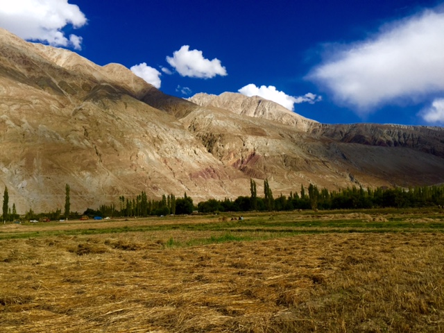 vacance ladakh