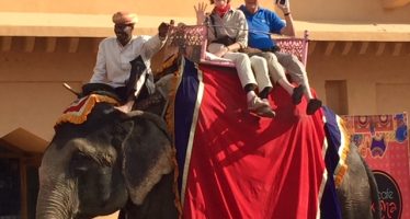 Voyage Rajasthan et Agra – Mr et Mme REY