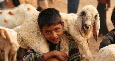 Séjour au Rajasthan et Agra