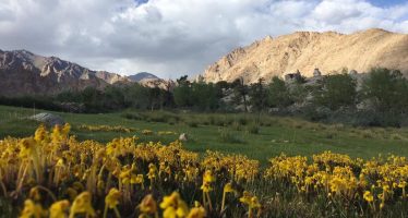 Voyage au Ladakh et Rajasthan avec Agra