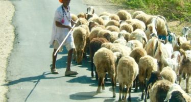 Voyage au Rajasthan Hors des sentiers battus