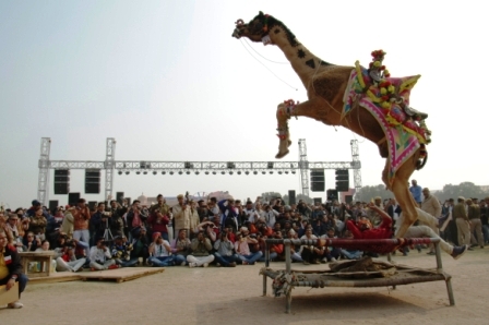festival bikaner