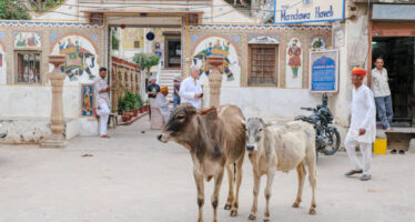 Voyage Inde du Nord avec vallée du Gange