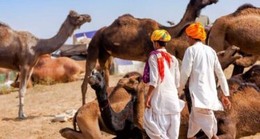 Voyage Inde du Nord avec vallée du Gange